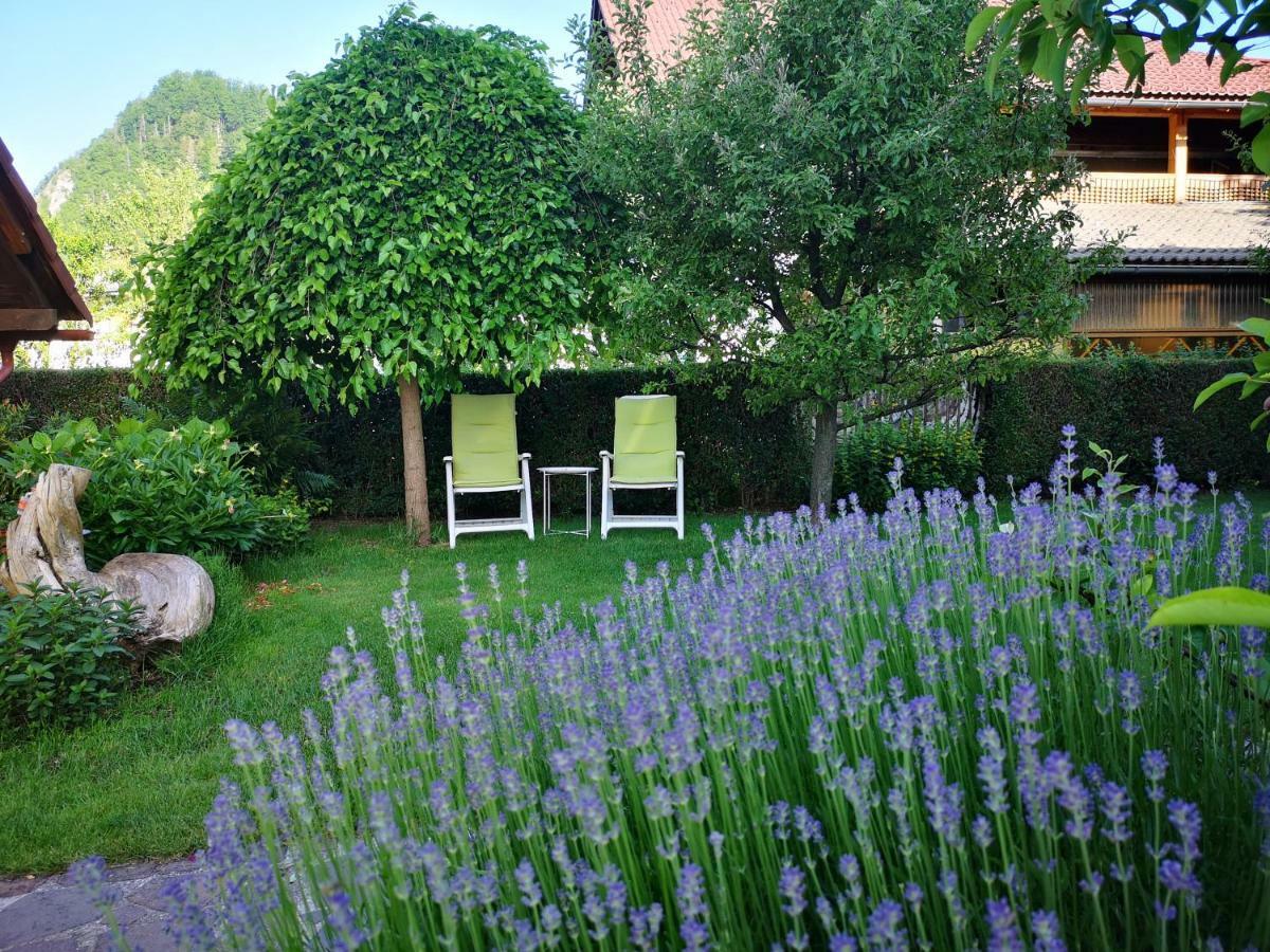 Apartment Apartmaji Volf Zgornje Gorje
